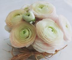 Petali d'autore - I ranuncoli