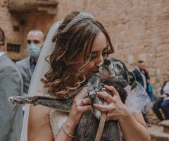 Canaglie da Matrimonio - Sempre con voi