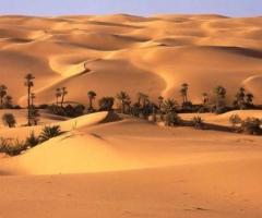 Luna di miele in Libia