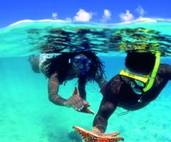 Snorkeling durante il viaggio di nozze