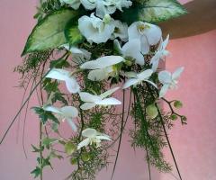 Bouquet - Ocean Song