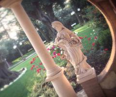 Morgana's Garden Ricevimenti