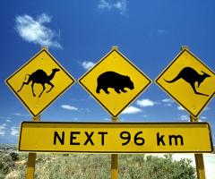 Australia - Scoprimondo viaggi