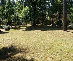 Palazzo Ducale - Il giardino esterno