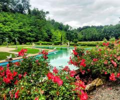 Valle Giulia - Uno scorcio del bellissimo parco