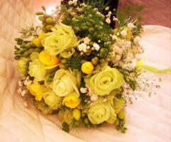 Magnolia di Mazzoli Elisa -         7 Aprile 2018  
Matrimonio Enrico e Laura