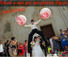 Pan di Zucchero - Trampoliere e giocoliere sposo