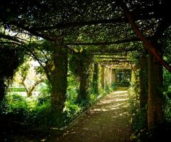 Porticato di rose del giardino della villa - AZETA Foto
