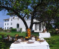 Allestimento del matrimonio in giardino