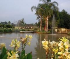 Parco della location di nozze