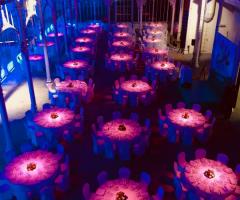 Le Cirque Firenze - Tuscan-vineyards