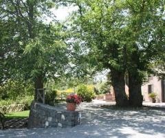 Parco del ristorante per ricevimento di matrimonio Tenuta Favazza