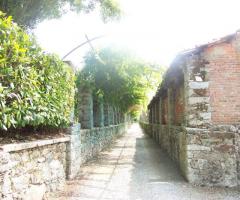 particolare dell'azienda