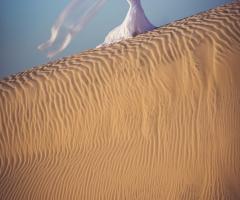 Andrea & Siria - La duna Brasile