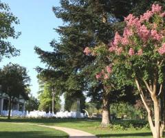 Tenuta Ladin - Il giardino intorno la villa