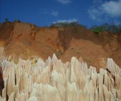 Viaggio di nozze in Madagascar 