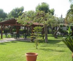 Ricevimenti Orchidea Malibuù - Una vista del giardino