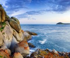 .The Freeway - Kangaroo