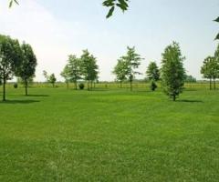 Giardino dell'agriturismo per il ricevimento di matrimonio