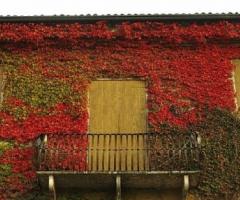 Dettaglio della Villa