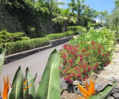 Boutique di Charme - Il viale dell'ingresso