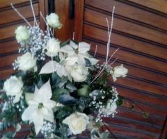 Il fiore di Schlegel Stefano - Composizione