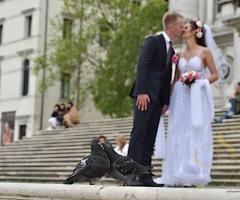 Wladi’s Photo di Speranzoni Wladimiro - Amore