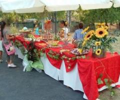 Casale de Sole - Antipasti di nozze serviti in giardino