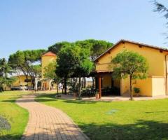 Ricevimento di nozze a Roma - Locanda degli Ulivi