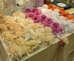 Migiù Bomboniere - Tavolo delle bomboniere di matrimonio