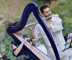 Arpa e flauto - Dionysus Entertainment