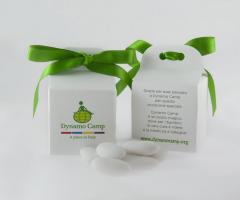 Scatolina con manico - Associazione Dynamo Camp Onlus