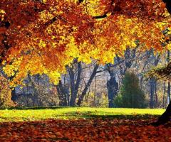 Villa Monteverdi - location-matrimoni-firenze