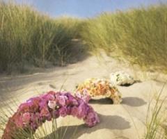 Gruppo Mio Blu - Composizioni floreali per il matrimonio a Roma