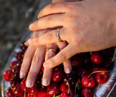 Particolare fedi nuziali di Signorino Fotografi a Capo d'Orlando (Messina)