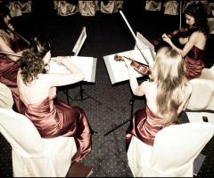 Musa - Quartetto d'archi femminile a Lugano