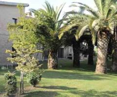 Agriturismo Cavendo Tutus - L'oasi delle Palme