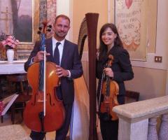 Viola e violoncello