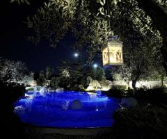 Vista serale del laghetto della location