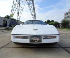 Nolo da Pria - Vista frontale della Corvette