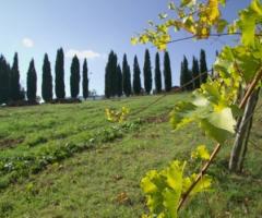 Veduta dell'agriturismo per matrimoni