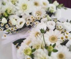 Catina Flora - Composizione mista bianca