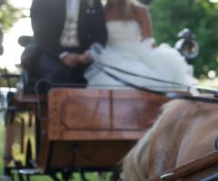 Nozze da favola - Gli sposi in carrozza