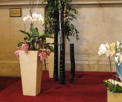 Orchidee in vaso per il matrimonio