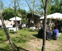 Casette di legno nel bosco di Villa Emo per l'aperitivo di nozze