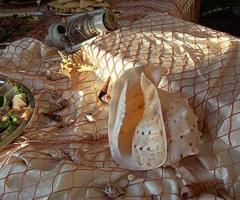 Allestimento del tavolo del buffet di matrimonio