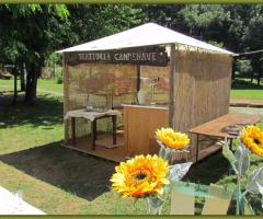 Gazebo-bar