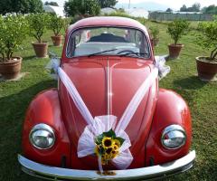 Noleggio auto matrimonio - Maggiolino Settimino