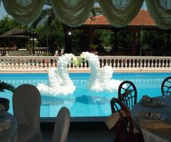 Scultura cigni di palloncini