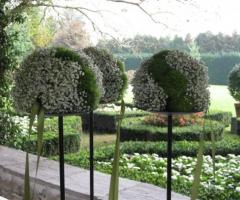 Addobbi floreali per la location di nozze